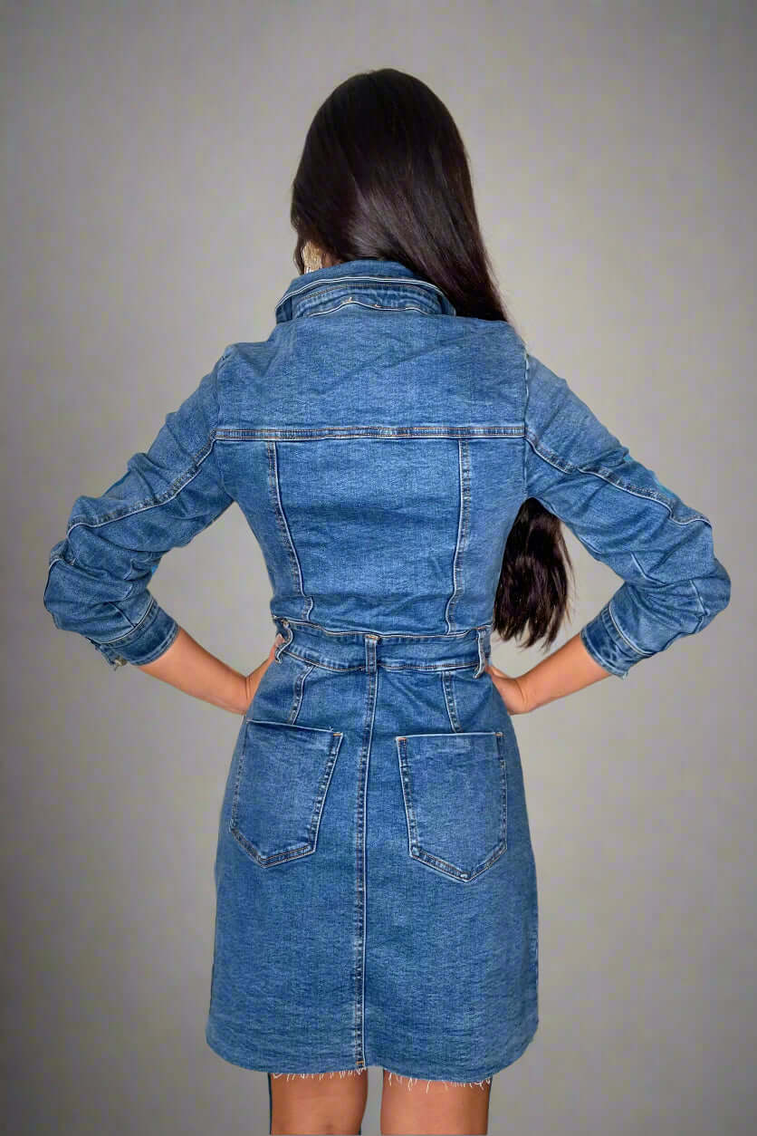 Sara Denim Dress back.