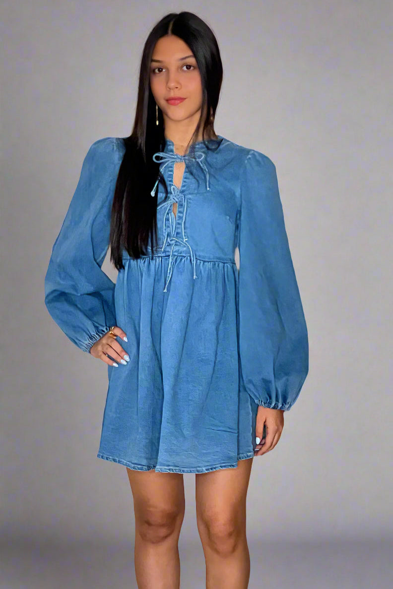 Denim Chic Dress front.