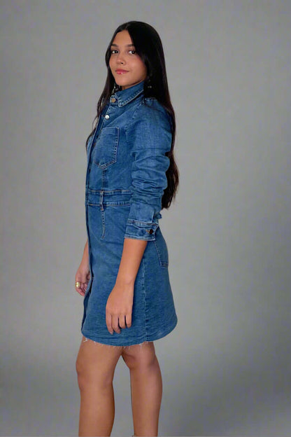 Sara Denim Dress